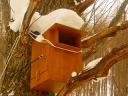 Q5.何の鳥の巣箱でしょうか？