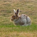 img_1478