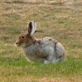 img_1479