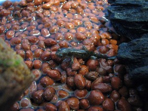 img_25951