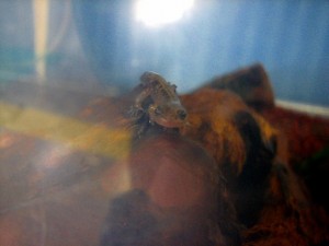 img_2765