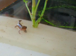 img_28381