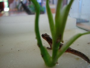 img_2841