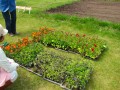 花はインターファーム㈱様より提供